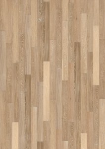 Sand Oak
